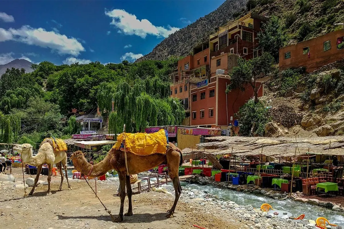 Ourika Atlas Vu Panoramique Avec Piscine Privee Marrakesh
